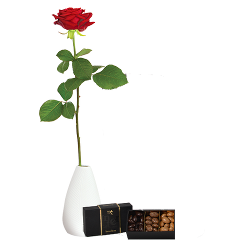 Une rose rouge et ses chocolats